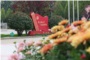 2025年菏泽市教育和体育局直属学校引进高层次急需紧缺人才公告